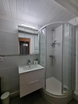 a bathroom with a shower and a sink and a mirror at T2 Centre Historique Rénové in Aix-en-Provence