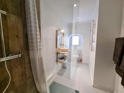 a bathroom with a shower and a sink and a toilet at Appartement centre historique in Aix-en-Provence