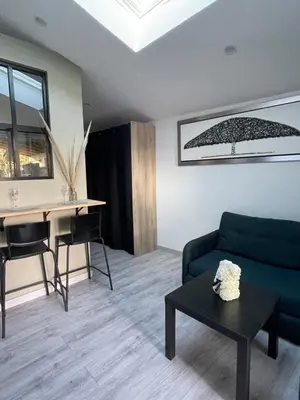 a room with a table and a skylight at Studio climatisé et tout équipé in Saint-Didier