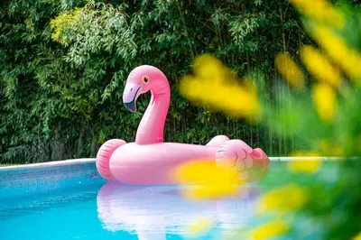 a pink rubber duck in a swimming pool at La Bastide des Joncquiers in LʼIsle-sur-la-Sorgue