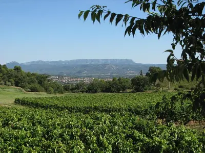 a vineyard in the hills with a city in the background at Domaine du Coffre in Pertuis
