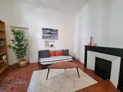 a living room with a couch and a fireplace at Studio centre historique 1 in Aix-en-Provence
